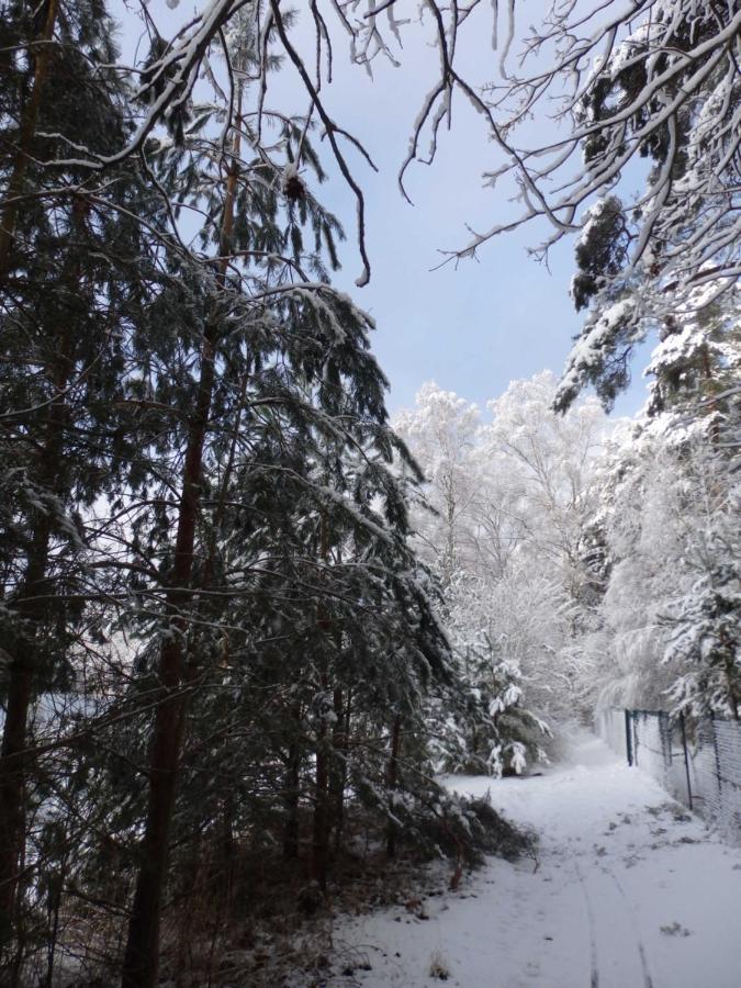 Dependance Ferienhaeuser Am Kastavensee Люхен Екстериор снимка